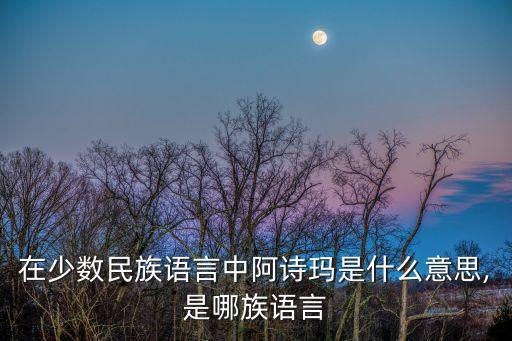 在少数民族语言中阿诗玛是什么意思,是哪族语言