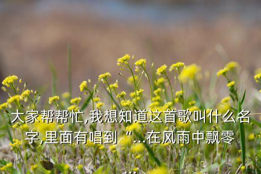 大家帮帮忙,我想知道这首歌叫什么名字,里面有唱到“...在风雨中飘零...
