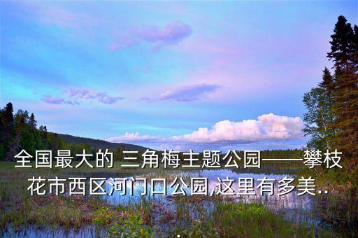 全国最大的 三角梅主题公园——攀枝花市西区河门口公园,这里有多美...