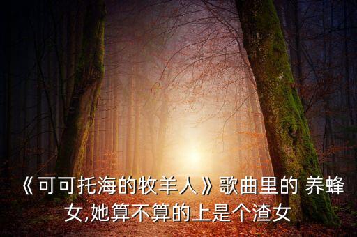 养蜂女舞蹈完整版董小香,舞蹈董小香养蜂女背面