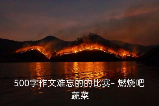 500字作文难忘的的比赛– 燃烧吧 蔬菜