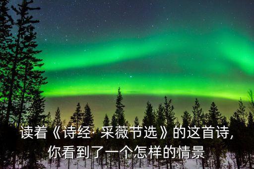 读着《诗经· 采薇节选》的这首诗,你看到了一个怎样的情景