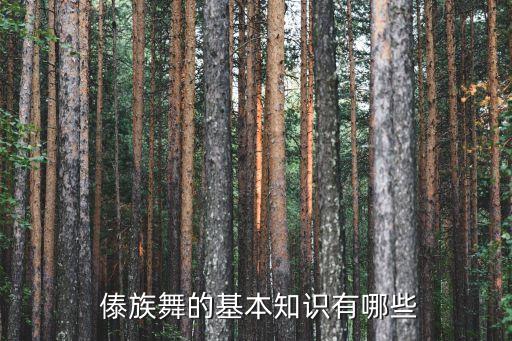 傣族云南舞蹈教学视频,傣族舞蹈分解动作教学视频