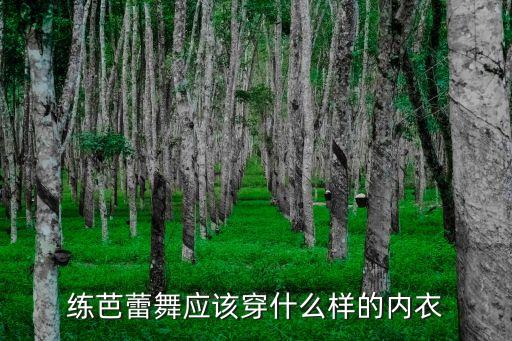 练芭蕾舞应该穿什么样的内衣
