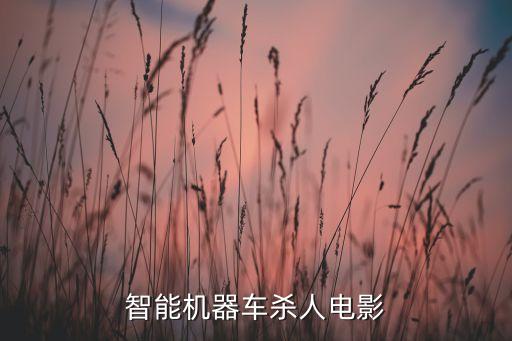 智能机器车杀人电影