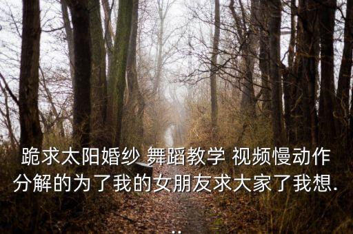 跪求太阳婚纱 舞蹈教学 视频慢动作分解的为了我的女朋友求大家了我想...