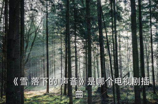 《雪 落下的 声音》是哪个电视剧插曲