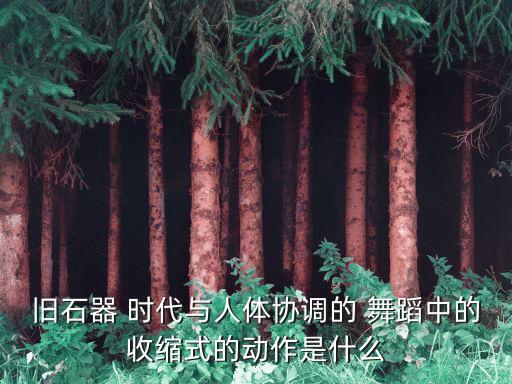 旧石器 时代与人体协调的 舞蹈中的收缩式的动作是什么