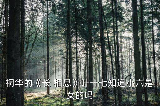 桐华的《长 相思》叶十七知道小六是女的吗