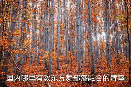上海 舞蹈房 开放,上海舞蹈房多少钱一小时