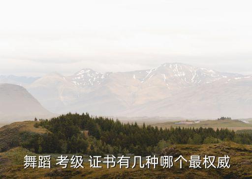 湖南社会舞蹈考级证书,舞蹈考级证书哪个是国家承认的