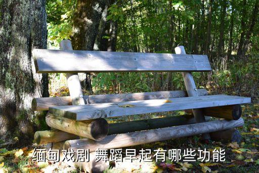 缅甸戏剧 舞蹈早起有哪些功能