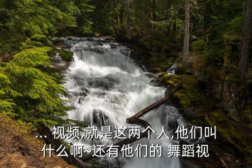 ... 视频,就是这两个人,他们叫什么啊~还有他们的 舞蹈视