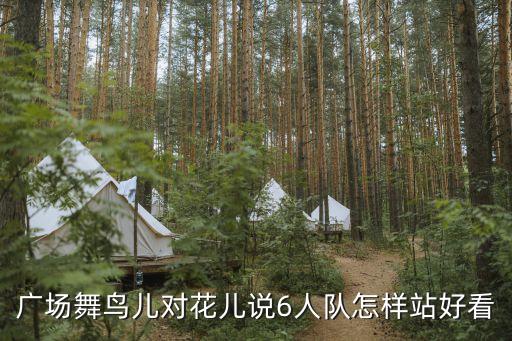 广场舞鸟儿对花儿说6人队怎样站好看