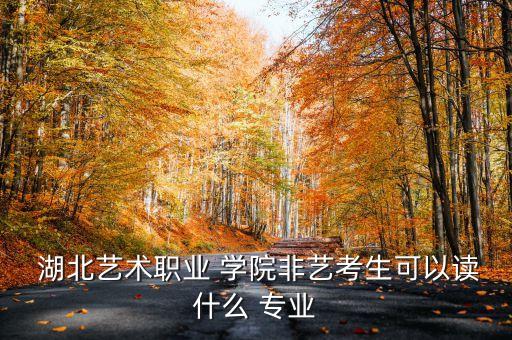  湖北艺术职业 学院非艺考生可以读什么 专业