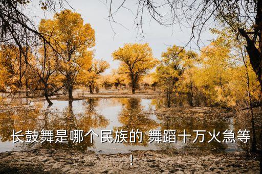 长鼓舞是哪个民族的 舞蹈十万火急等!