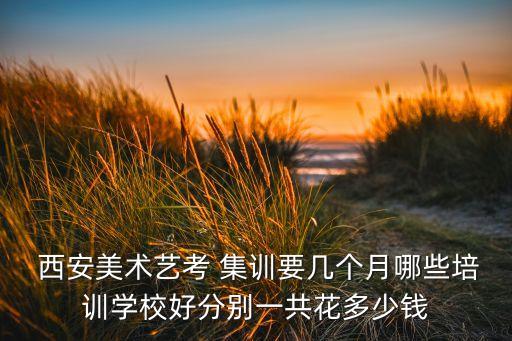 西安集训舞蹈,舞蹈集训大概需要多少钱