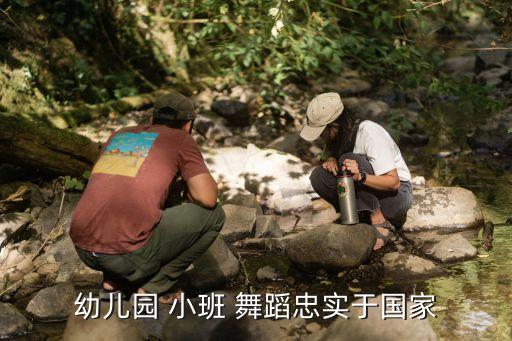 幼儿园 小班 舞蹈忠实于国家