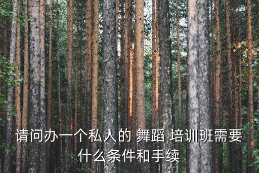 请问办一个私人的 舞蹈 培训班需要什么条件和手续