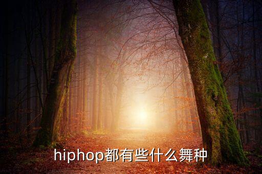 嘻哈舞蹈是啥,嘻哈小子舞蹈视频完整版