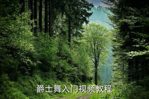 爵士舞入门视频教程