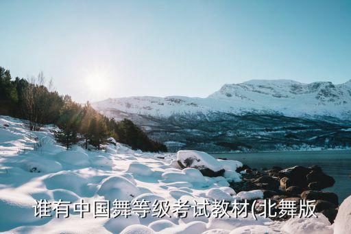 北京舞蹈学院剑舞组合