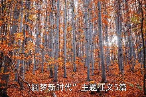 “圆梦新时代”主题征文5篇