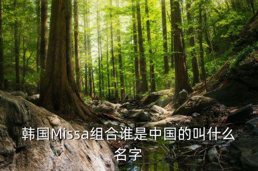 韩国Missa组合谁是中国的叫什么名字