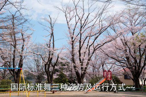 国际标准舞三种姿势及运行方式~~