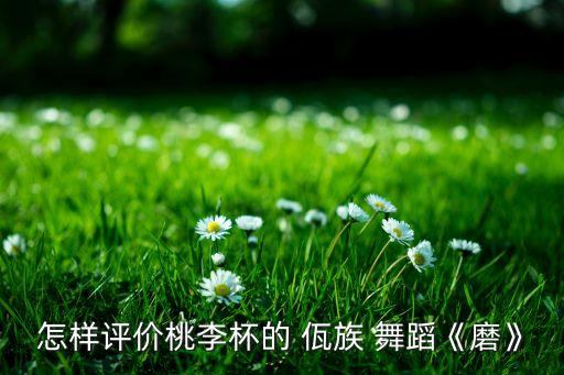 怎样评价桃李杯的 佤族 舞蹈《磨》