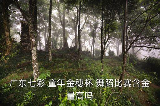 童年舞蹈,镜子里的童年舞蹈