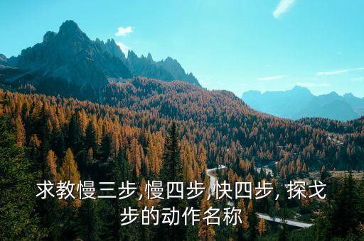 交谊舞探戈舞蹈视频下载
