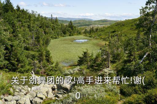 关于劲舞团的歌!高手进来帮忙!谢(0