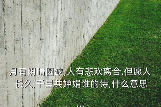 但愿人长久古装舞蹈
