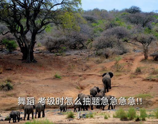 舞蹈5级考级ab题,舞蹈考级限制年龄吗?