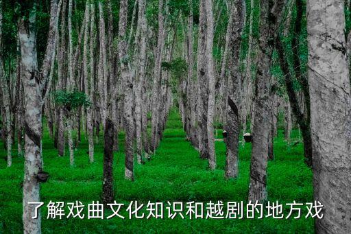 了解戏曲文化知识和越剧的地方戏