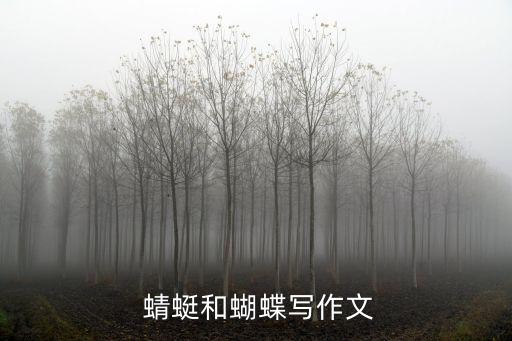  蜻蜓和蝴蝶写作文