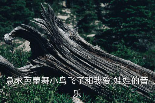 急求芭蕾舞小鸟飞了和我爱 娃娃的音乐