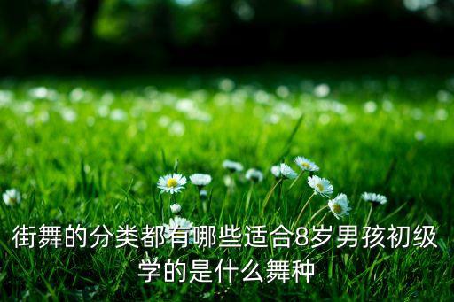 街舞的分类都有哪些适合8岁男孩初级学的是什么舞种