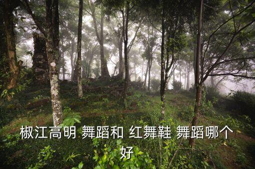 舞蹈培训加盟  红舞鞋,红舞鞋舞蹈培训怎么样