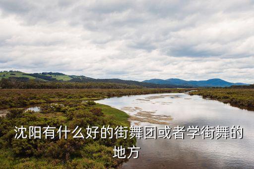  沈阳有什么好的街舞团或者学街舞的地方