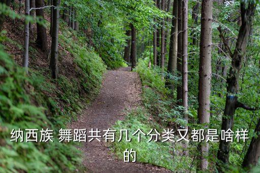 纳西族 舞蹈共有几个分类又都是啥样的