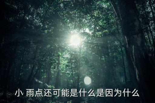 小 雨点还可能是什么是因为什么