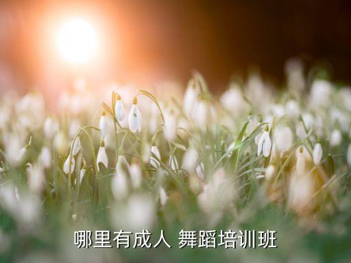 哪里有成人 舞蹈培训班