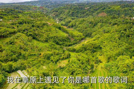 我在草原上遇见了你是哪首歌的歌词