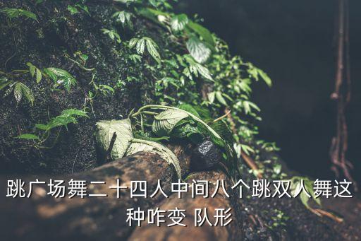 跳广场舞二十四人中间八个跳双人舞这种咋变 队形