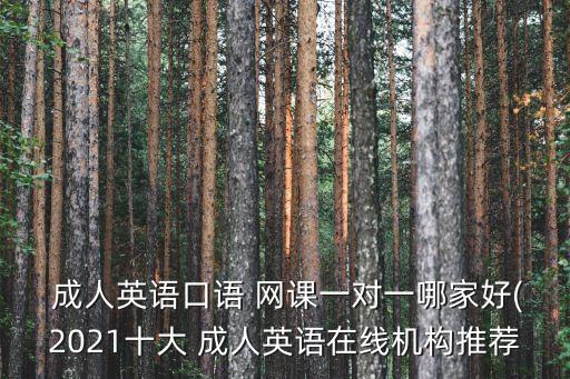 成人英语口语 网课一对一哪家好(2021十大 成人英语在线机构推荐