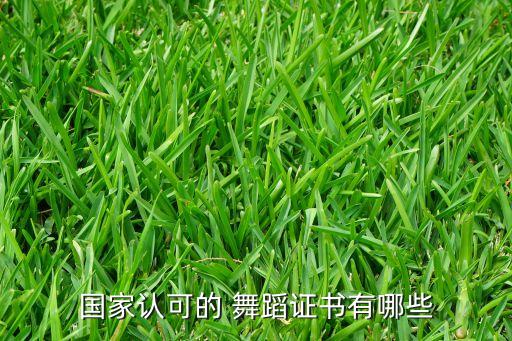 国家认可的 舞蹈证书有哪些
