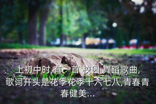校园舞蹈啦啦舞,yesok啦啦舞舞蹈教学视频