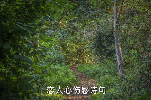 恋人心舞蹈妆